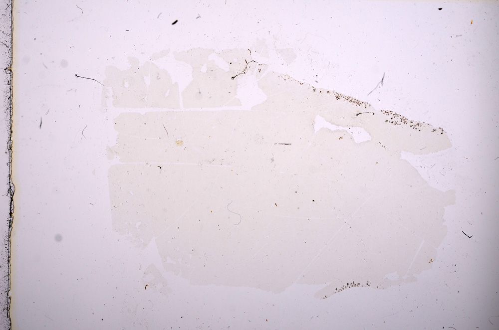 Plane Polarized, E6683