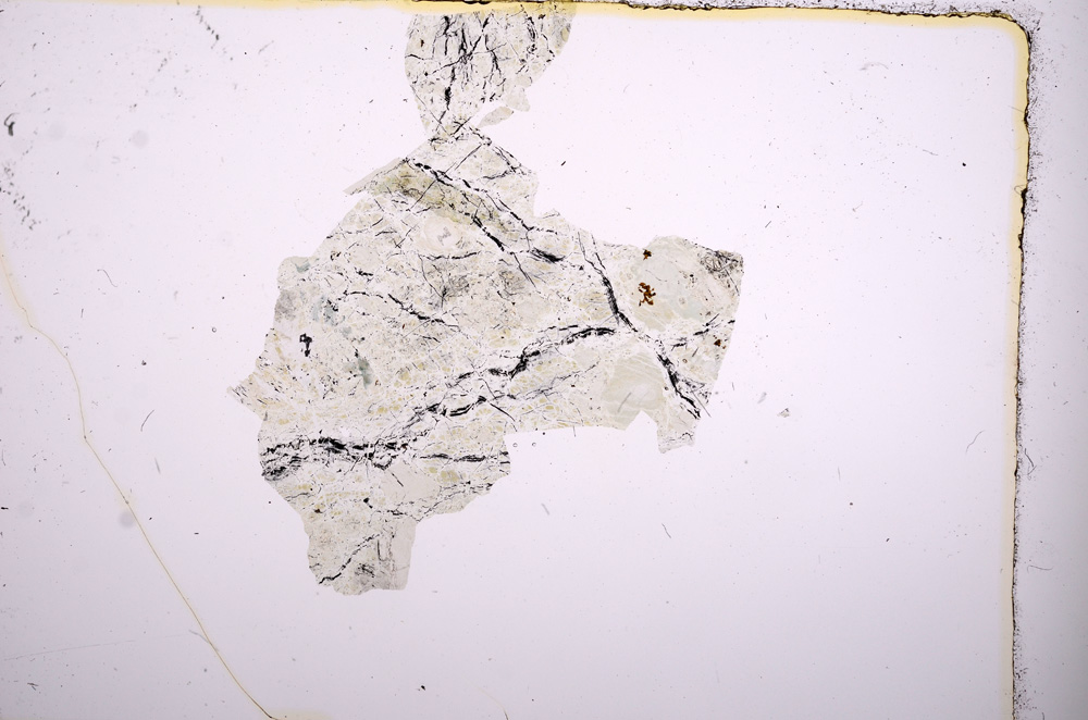 Plane Polarized, E6695