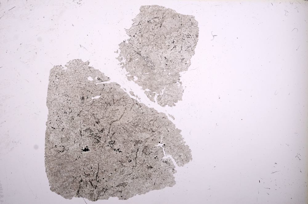 Plane Polarized, E6846