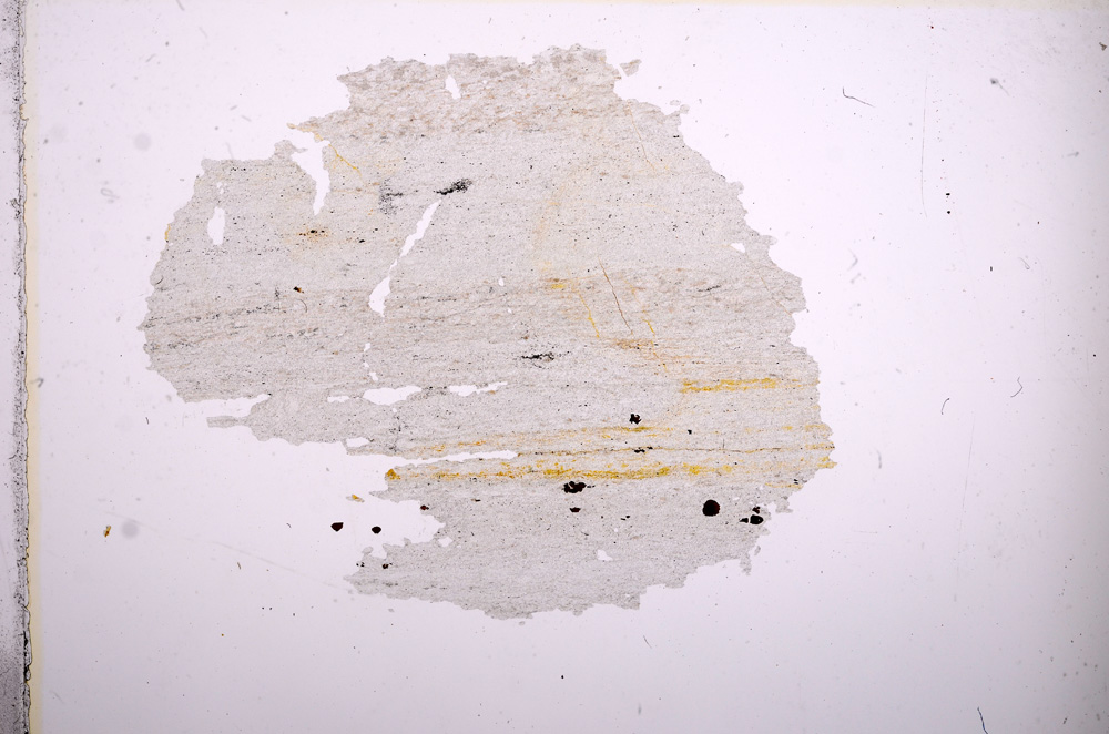 Plane Polarized, E6854
