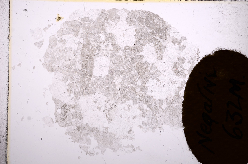 Plane Polarized, E6961