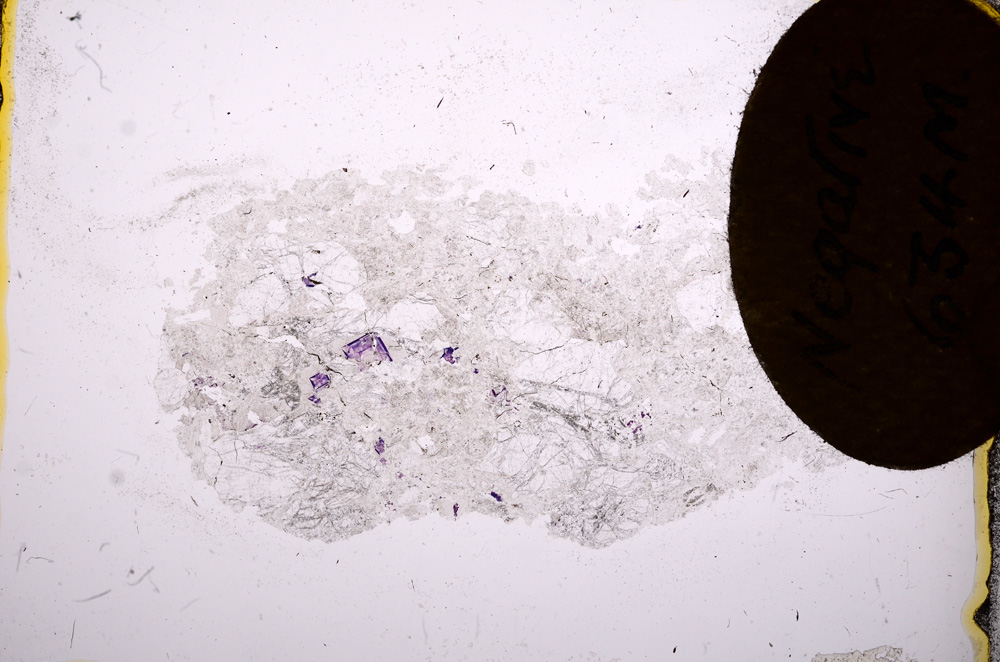 Plane Polarized, E6962