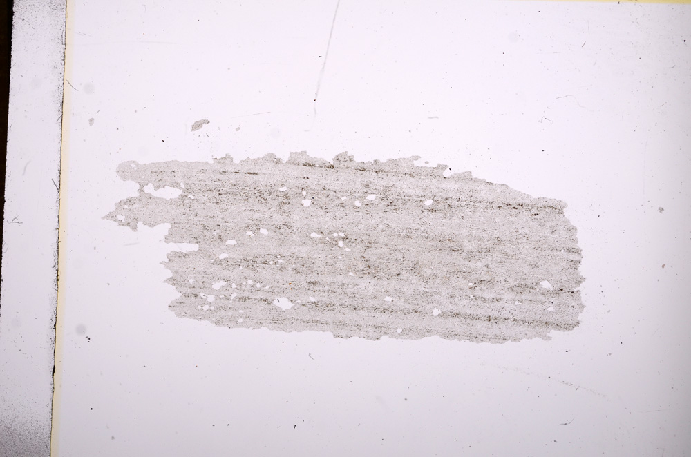 Plane Polarized, E6981