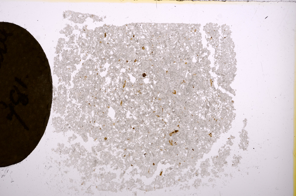 Plane Polarized, E7130