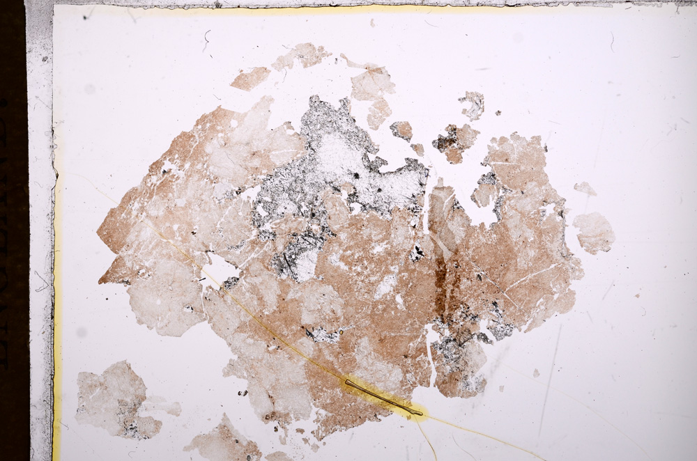 Plane Polarized, E7157