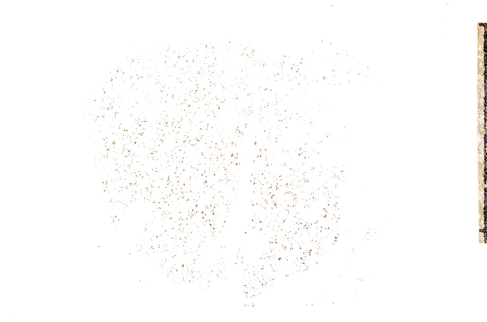 Plane Polarized, E7180