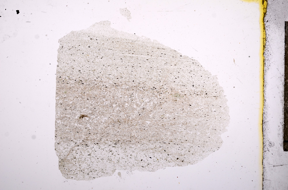 Plane Polarized, E7219