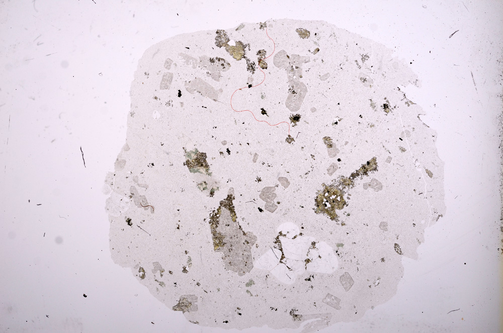 Plane Polarized, E7238