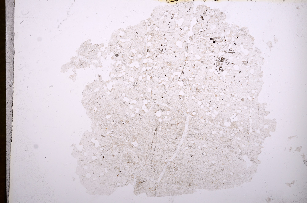 Plane Polarized, E7257