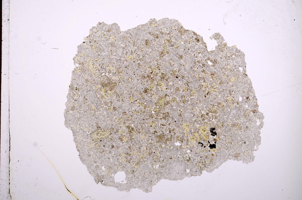 Plane Polarized, E7260