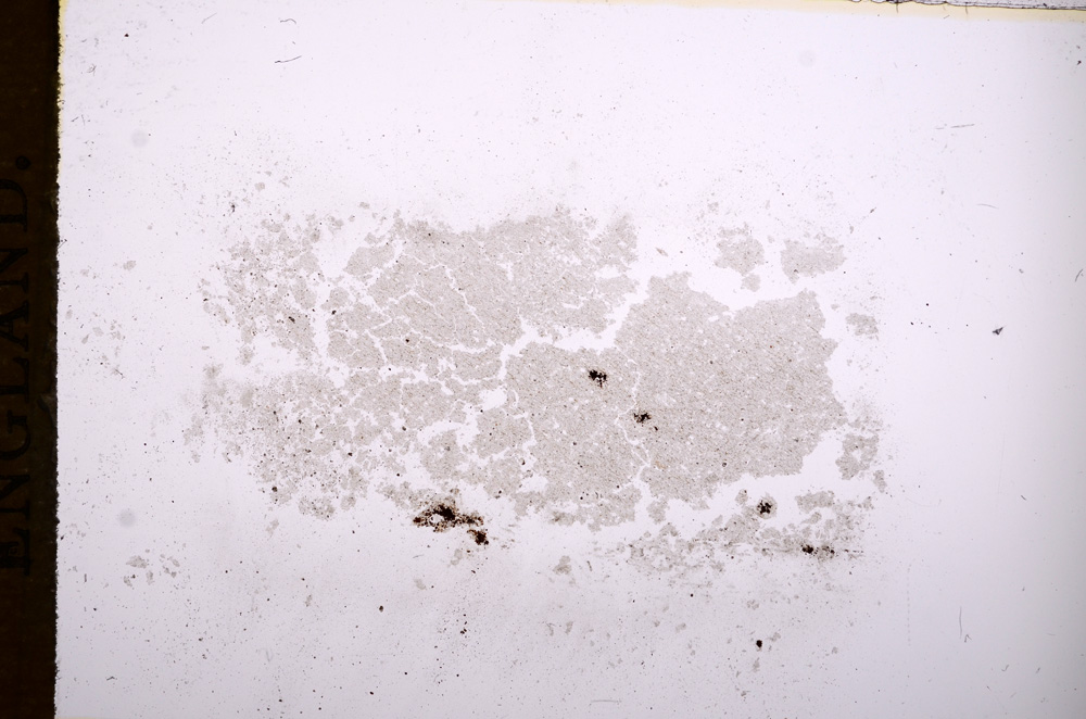 Plane Polarized, E7273