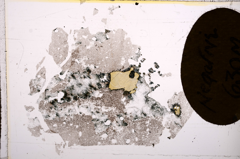 Plane Polarized, E7397