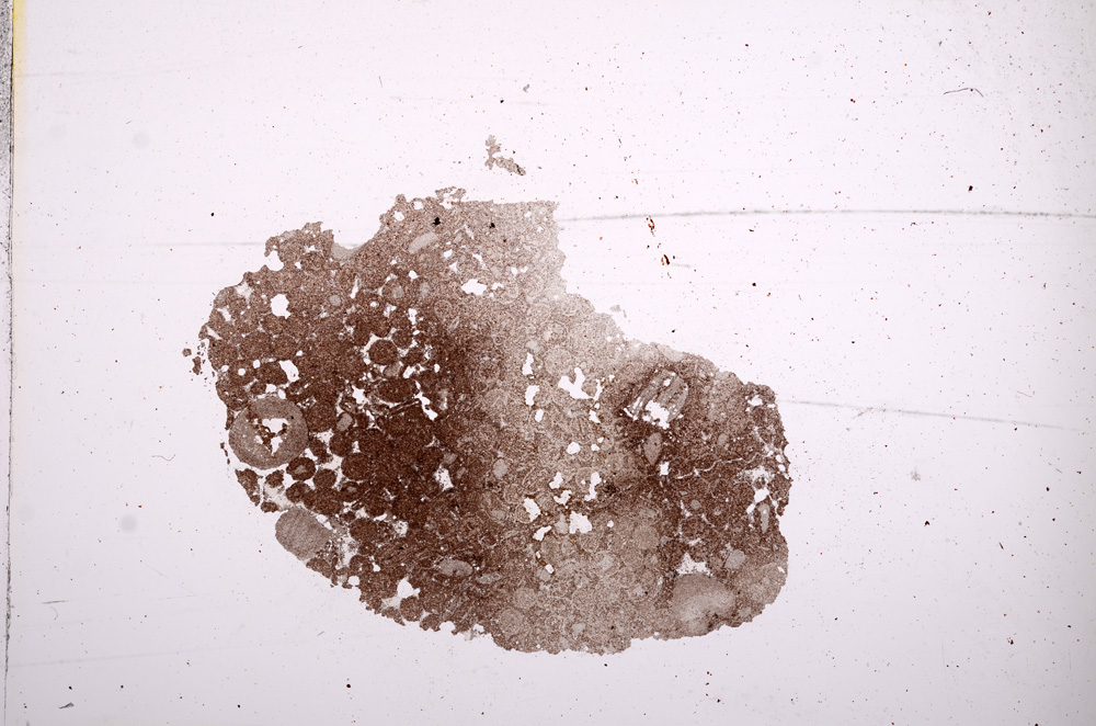 Plane Polarized, E7416