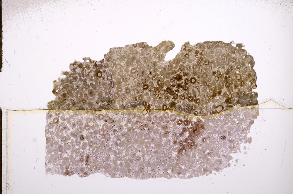 Plane Polarized, E7417