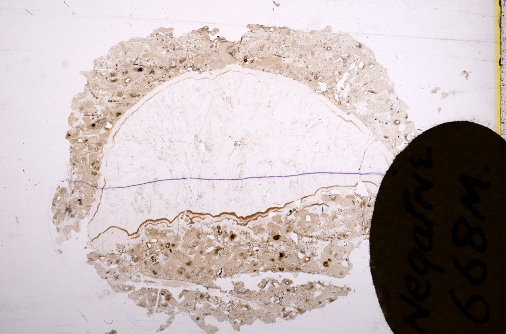 Plane Polarized, E7421