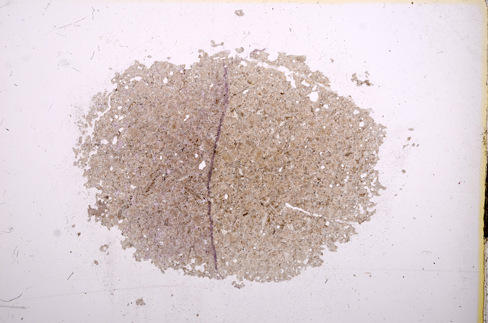 Plane Polarized, E7424