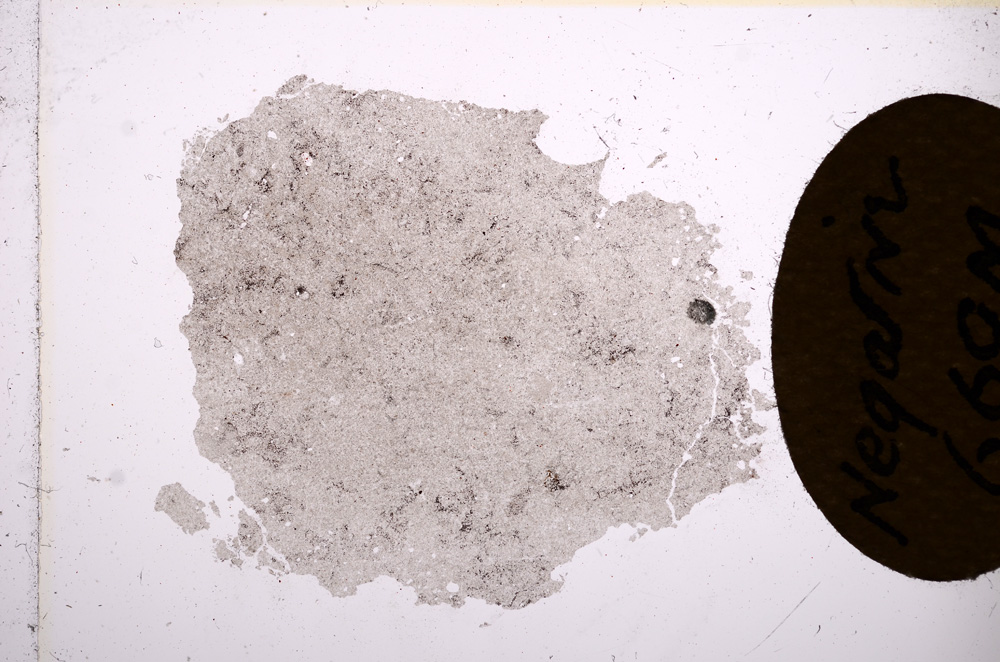 Plane Polarized, E7425