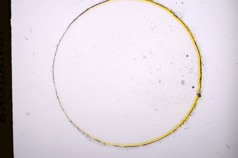 Plane Polarized, E7489