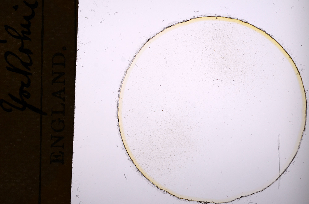 Plane Polarized, E7490