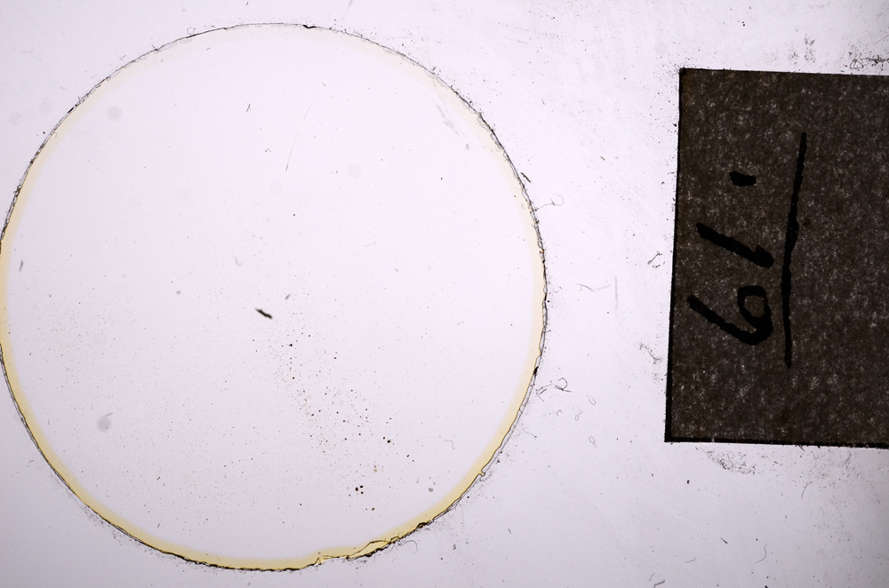 Plane Polarized, E7491