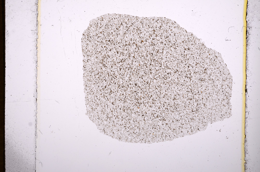 Plane Polarized, E7503