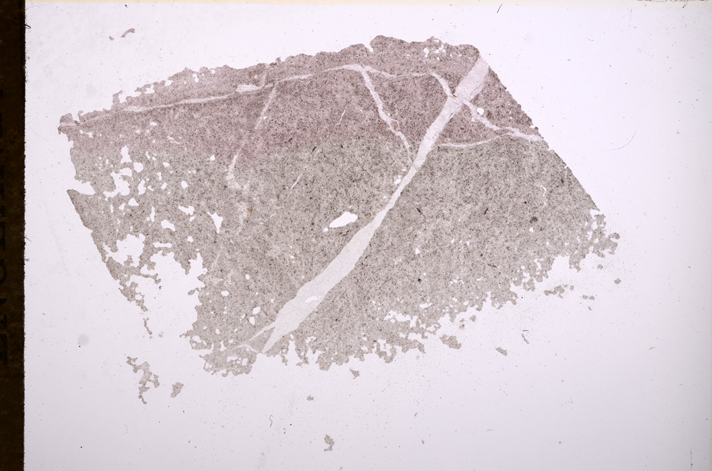 Plane Polarized, E7542