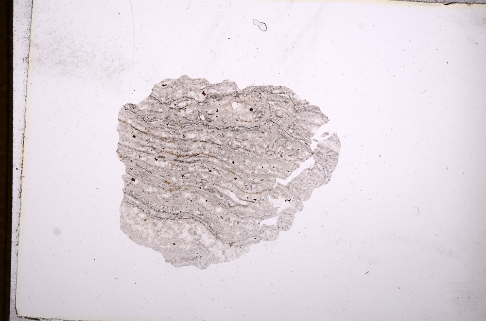 Plane Polarized, E7564