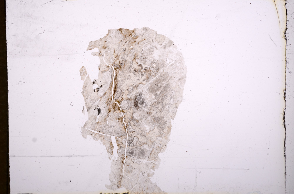 Plane Polarized, E7569