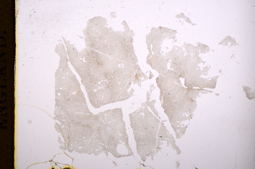 Plane Polarized, E7570