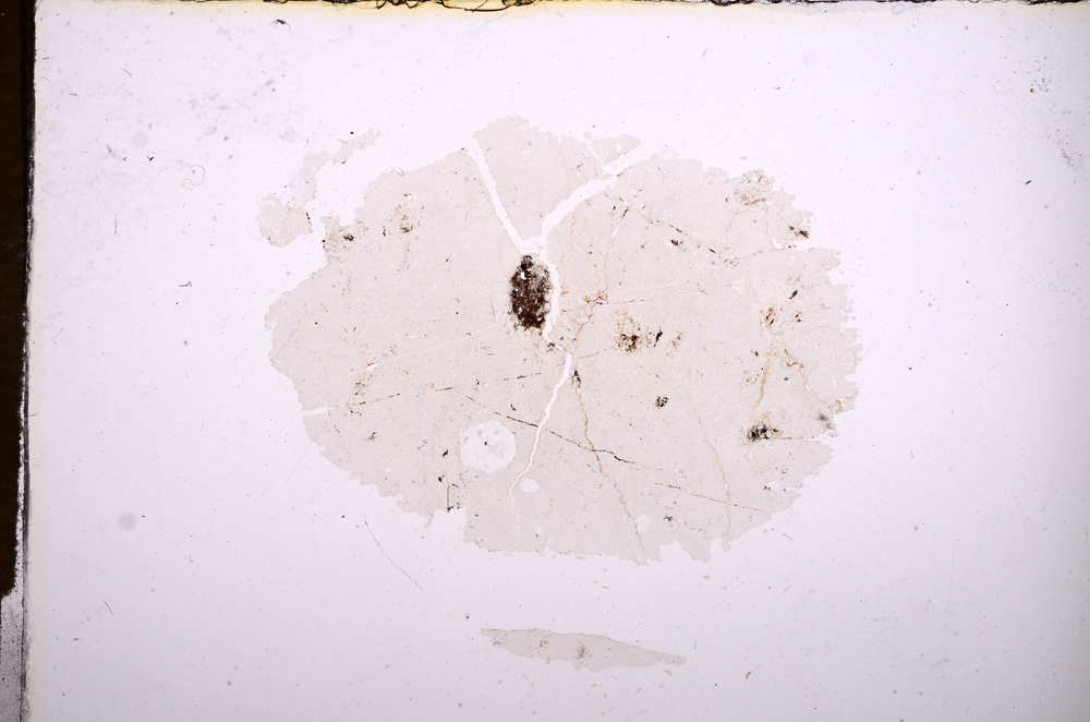 Plane Polarized, E7573