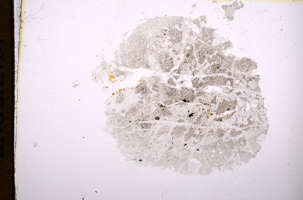 Plane Polarized, E7574