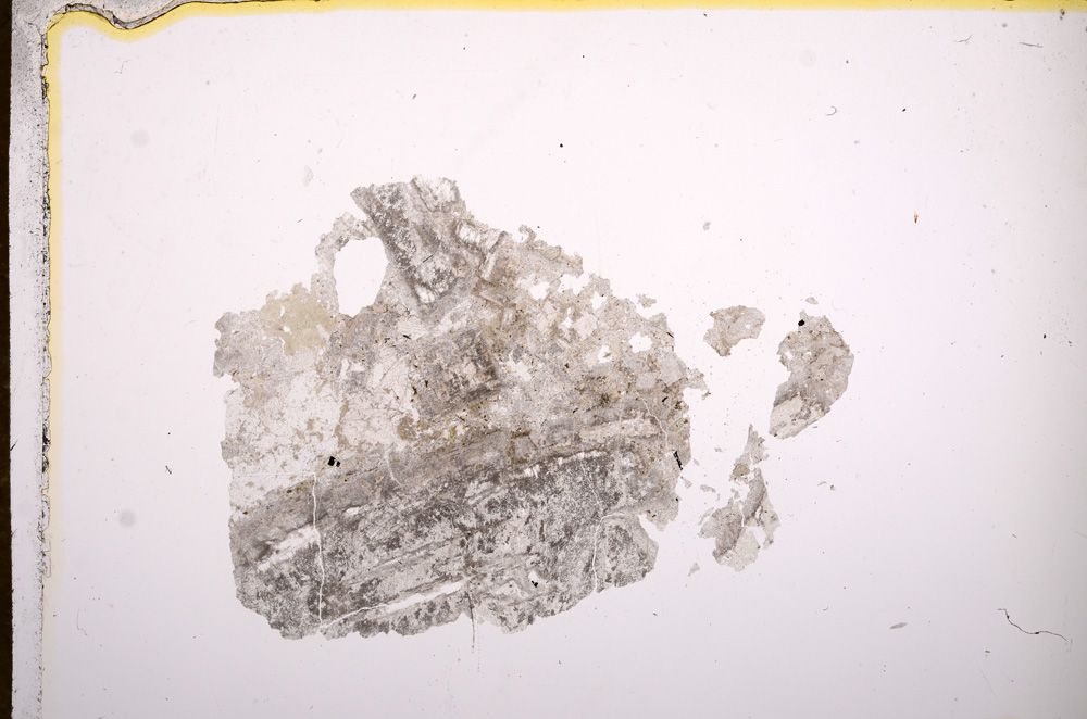 Plane Polarized, E7629