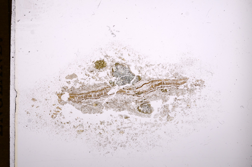 Plane Polarized, E7674