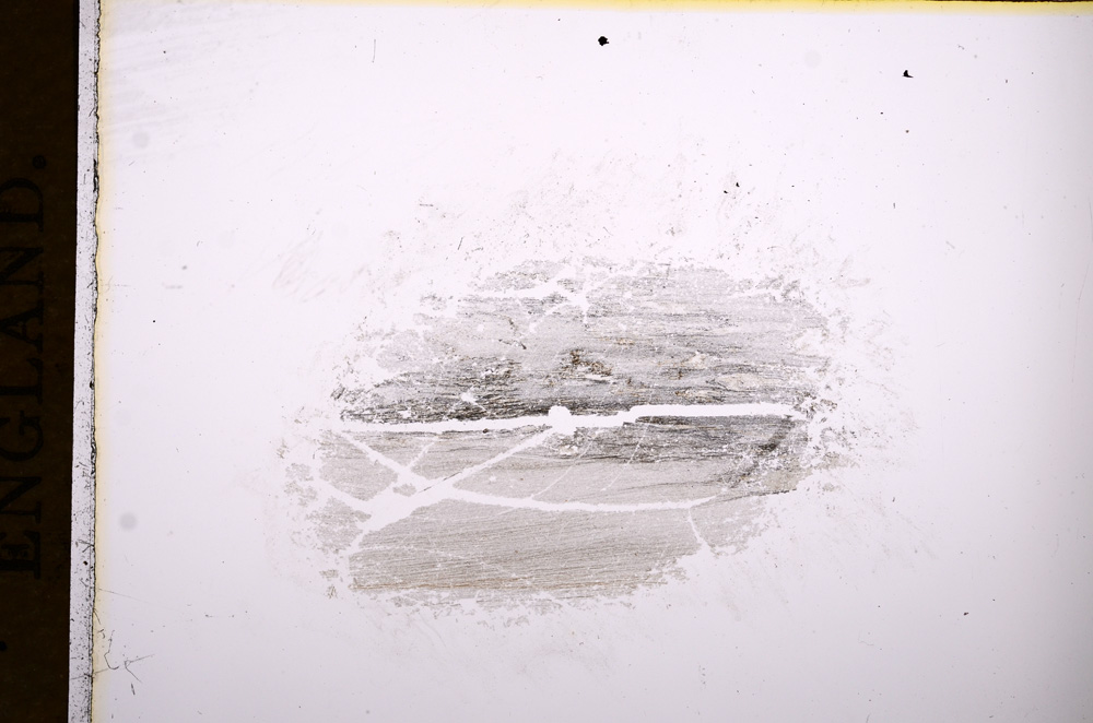 Plane Polarized, E7694