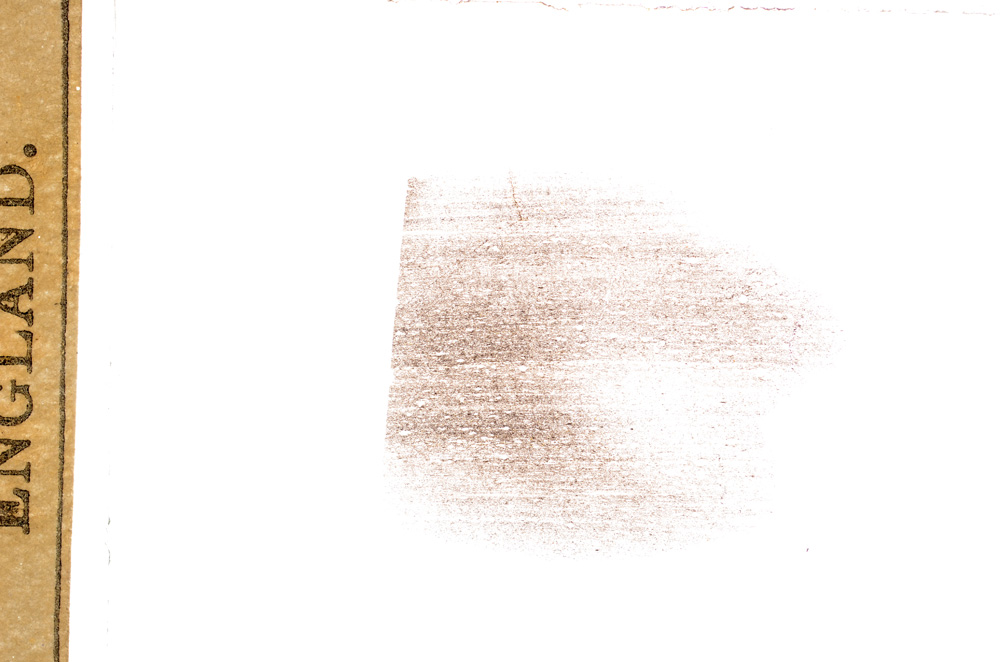 Plane Polarized, E7695