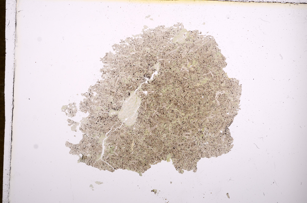 Plane Polarized, E7782