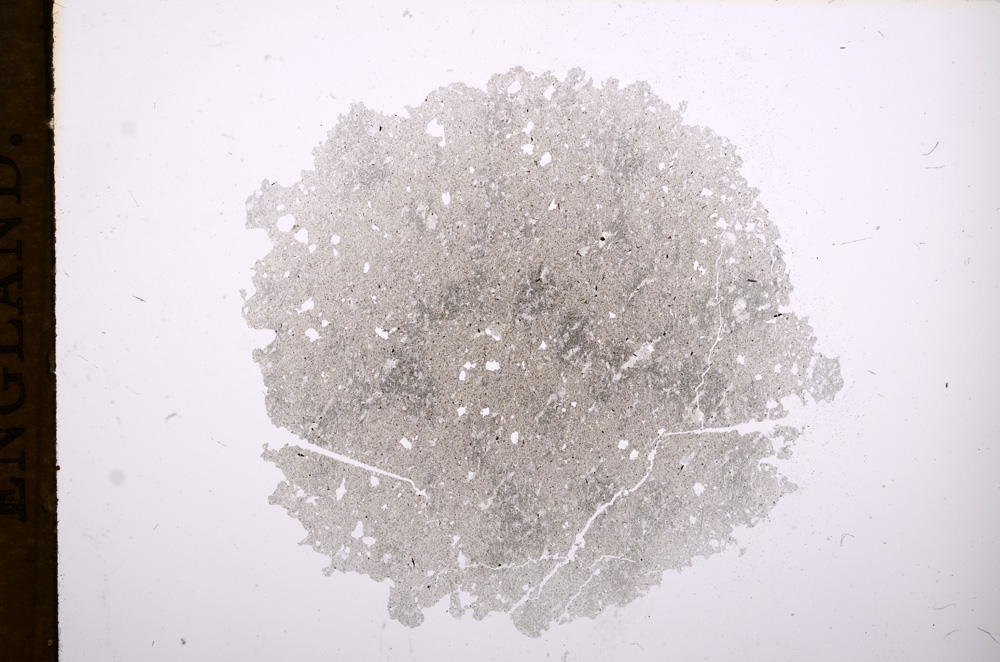 Plane Polarized, E7875