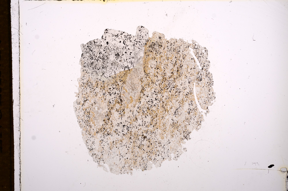 Plane Polarized, E7938