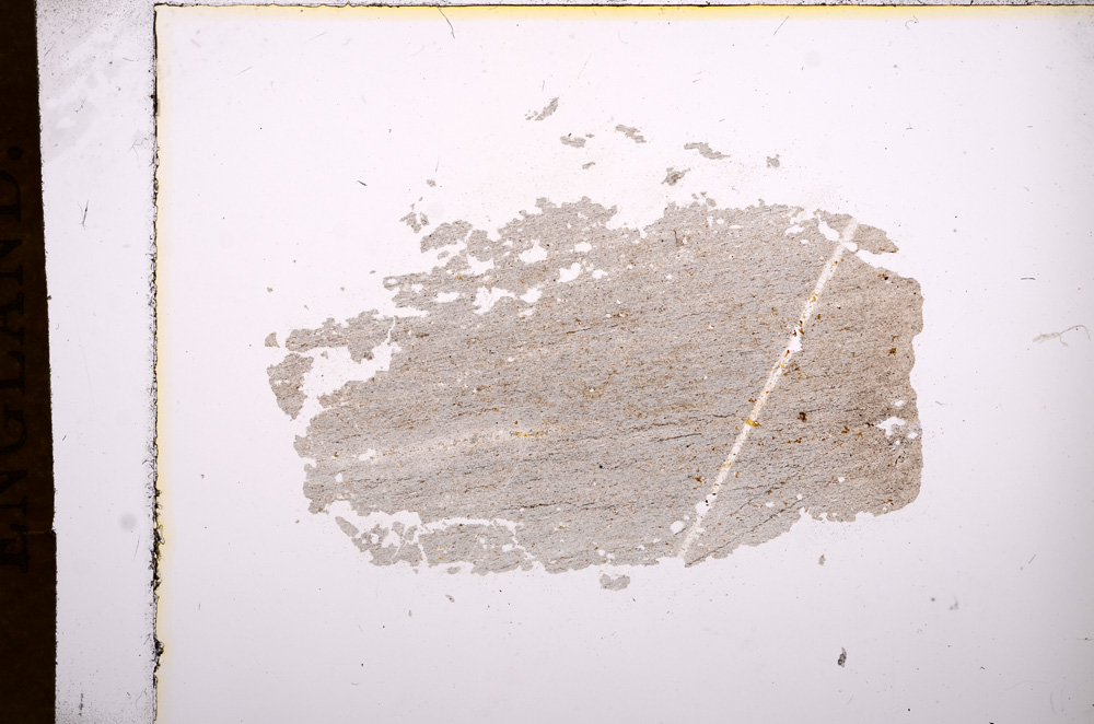 Plane Polarized, E7954