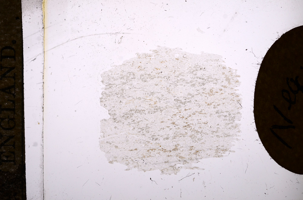 Plane Polarized, E8026