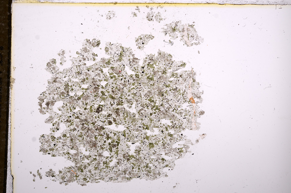 Plane Polarized, E8129