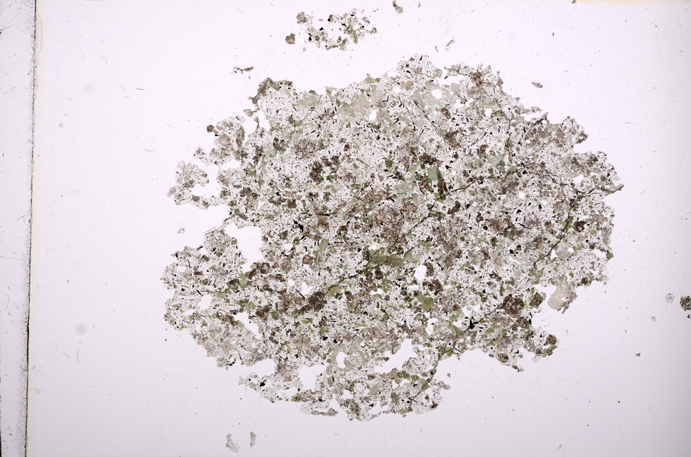 Plane Polarized, E8130