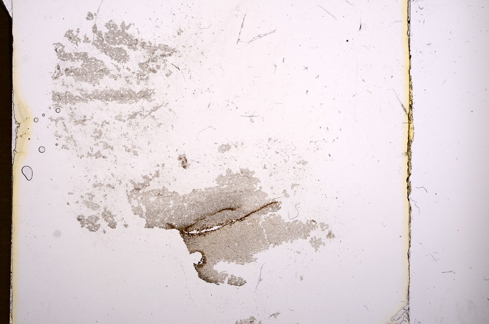 Plane Polarized, E8198