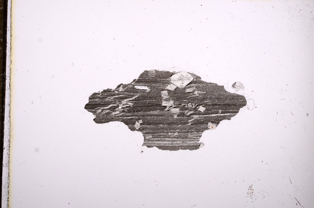 Plane Polarized, E8399