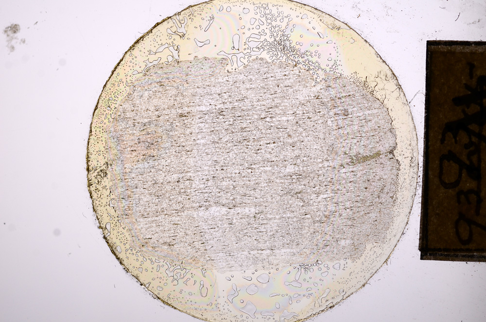 Plane Polarized, E8422