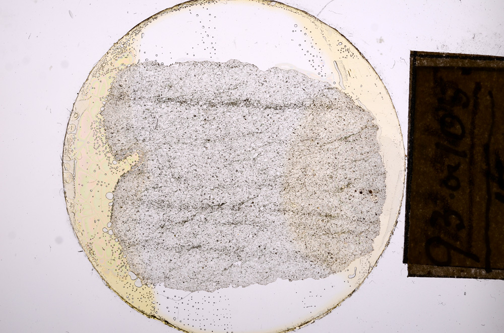 Plane Polarized, E8428