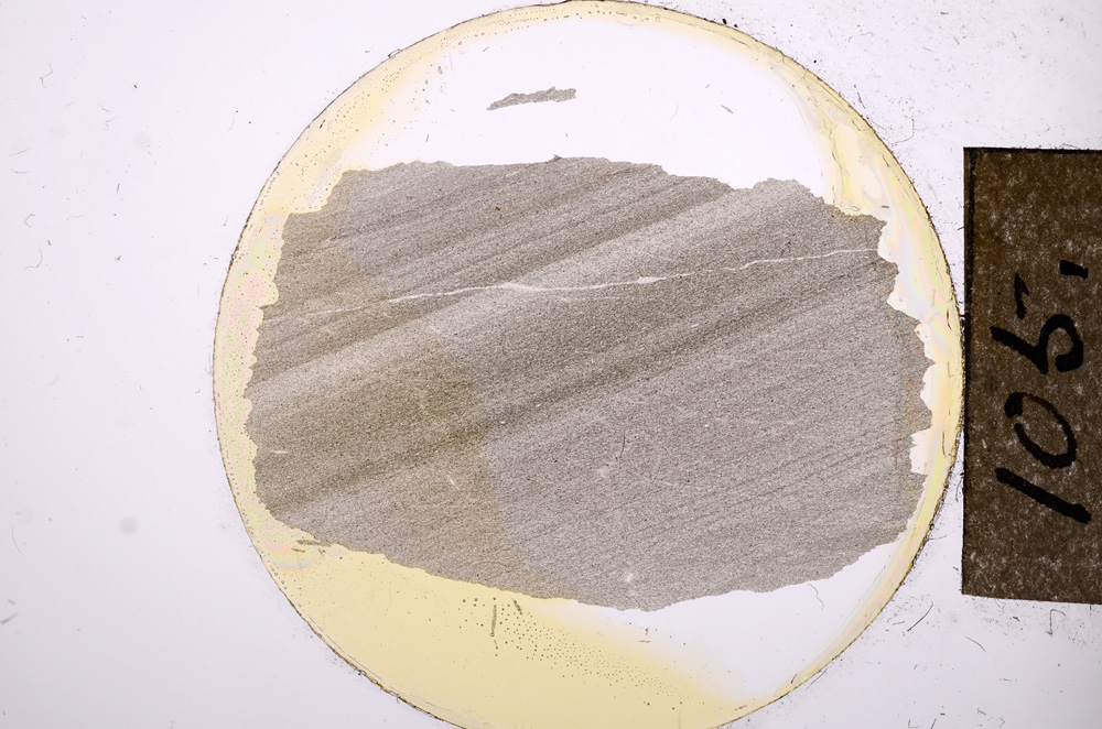 Plane Polarized, E8439