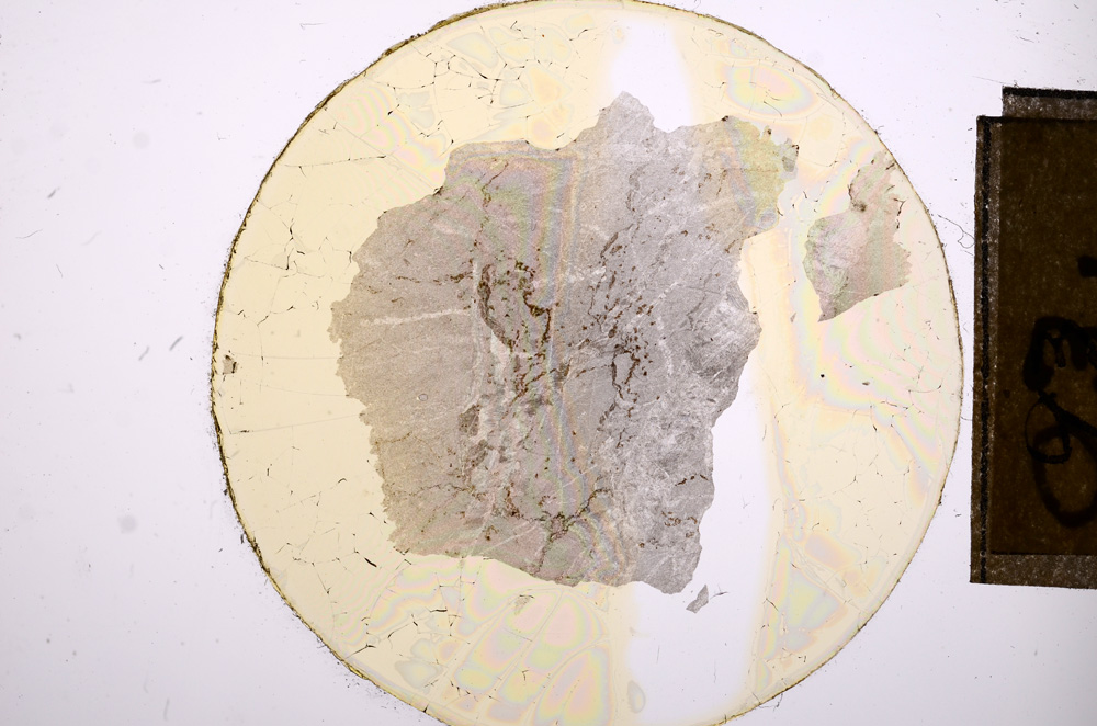 Plane Polarized, E8446