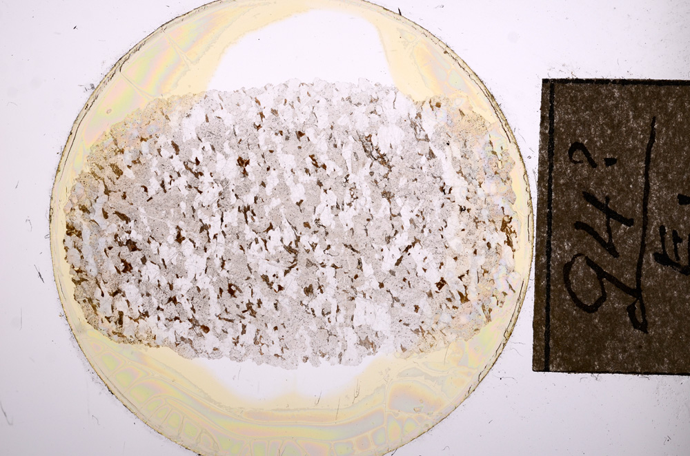 Plane Polarized, E8467