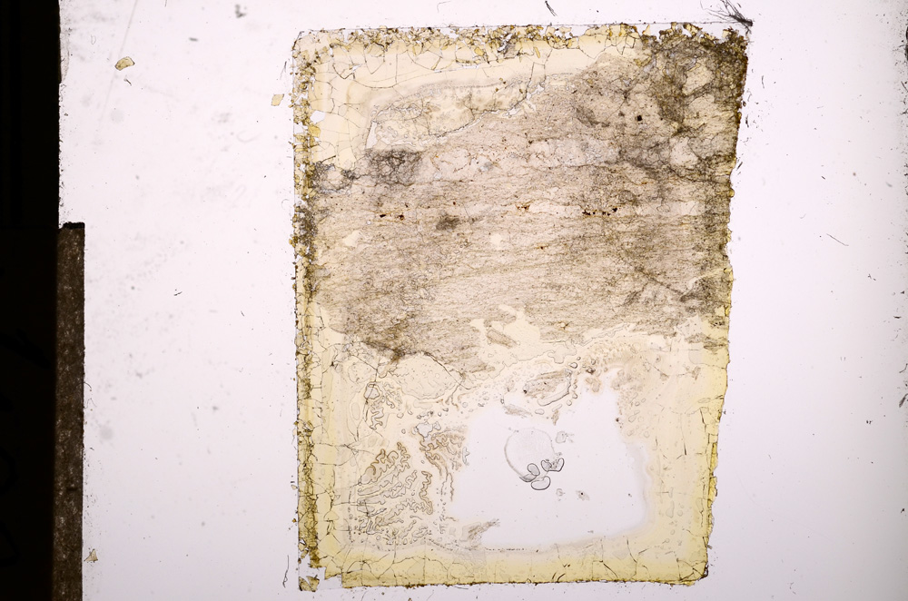 Plane Polarized, E8517